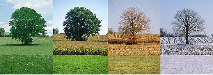 索尼确认《赛博朋克2077》将于6月21日重回归PS商店