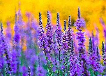 Xbox Series X|S和Xbox One更新发布 提升硬盘存储空间